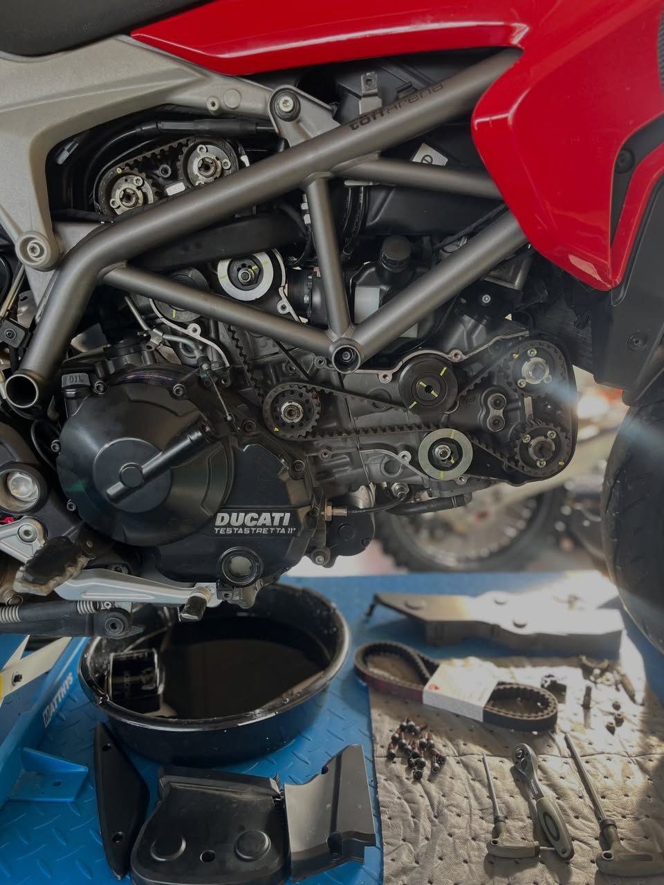Distribution d’un moteur Ducati Testastretta ouverte : courroies déposées sur le tapis d’établi